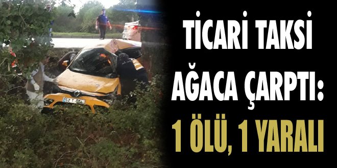 Ticari Taksi Ağaca Çarptı: 1 Ölü, 1 Yaralı