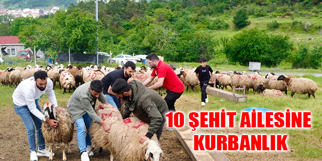 10 ŞEHİT AİLESİNE KURBANLIK