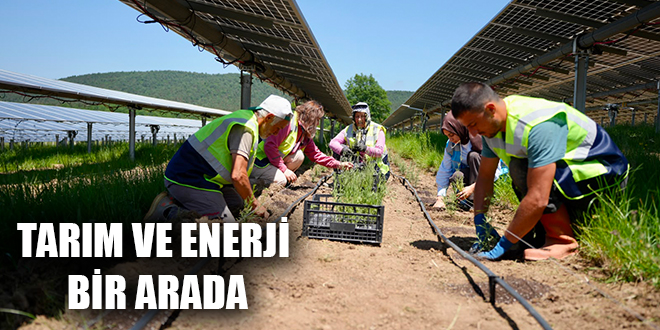 TARIM VE ENERJİ BİR ARADA