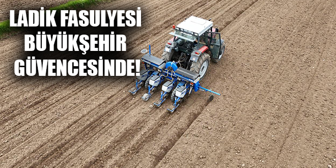 LADİK FASULYESİ BÜYÜKŞEHİR GÜVENCESİNDE!